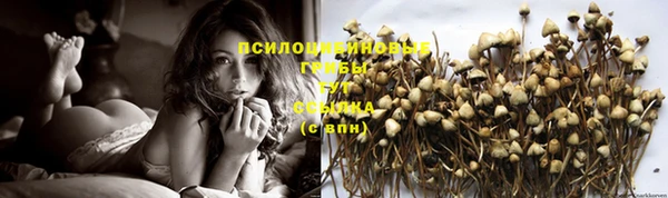 MDMA Лиски