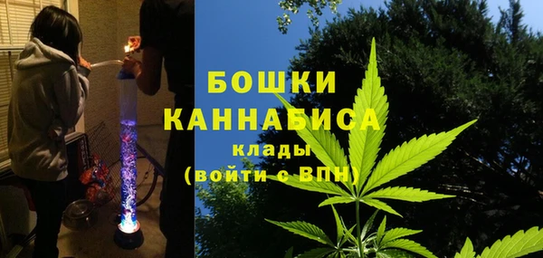 ECSTASY Липки