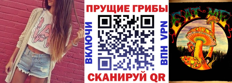закладка  даркнет формула  Псилоцибиновые грибы мухоморы  Новочебоксарск 