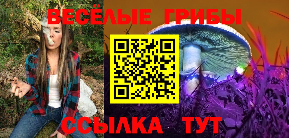 Псилоцибиновые грибы прущие грибы Новочебоксарск