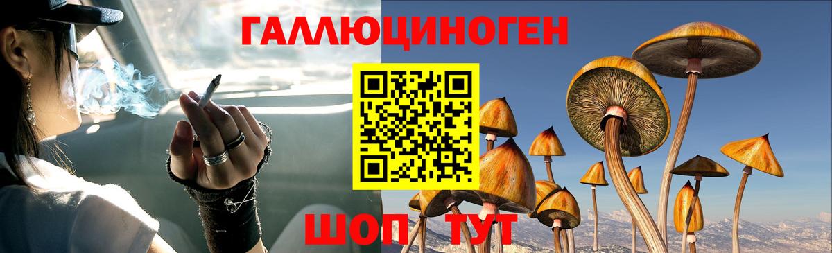 Псилоцибиновые грибы прущие грибы  Вход с VPN  Галлюциногенные грибы GOLDEN TEACHER  Новочебоксарск 